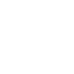 Play